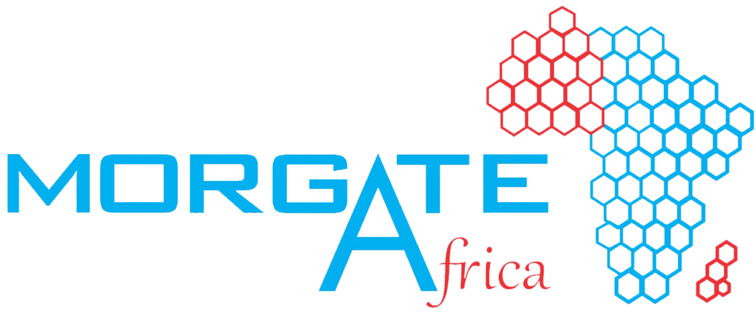 Morgate Africa